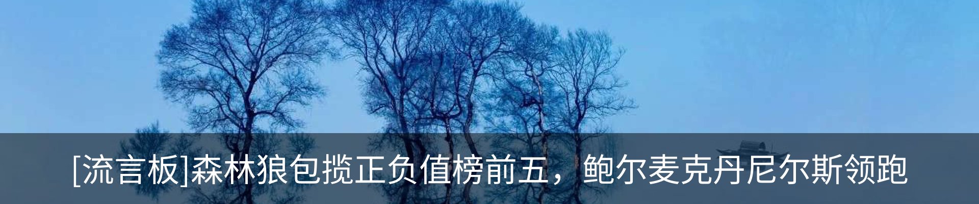 内页banner